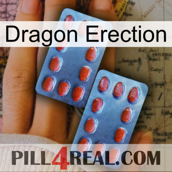 Dragon Erection 05.jpg